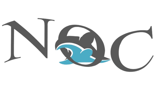Logo Noc